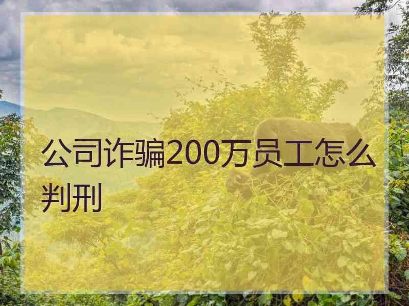 公司诈骗200万员工怎么判刑