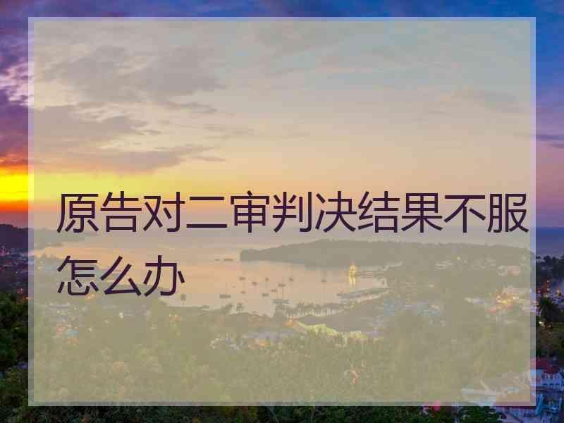 原告对二审判决结果不服怎么办