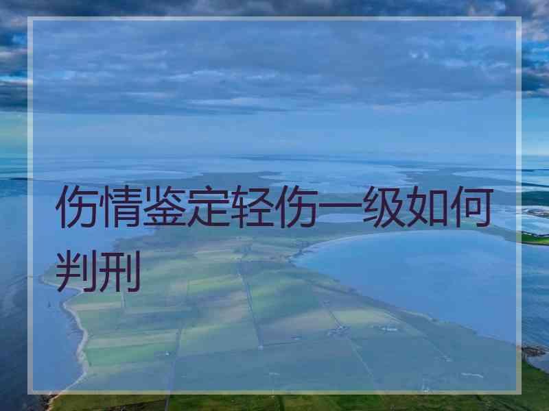 伤情鉴定轻伤一级如何判刑