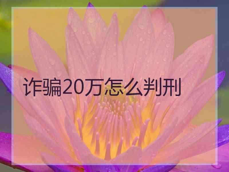 诈骗20万怎么判刑