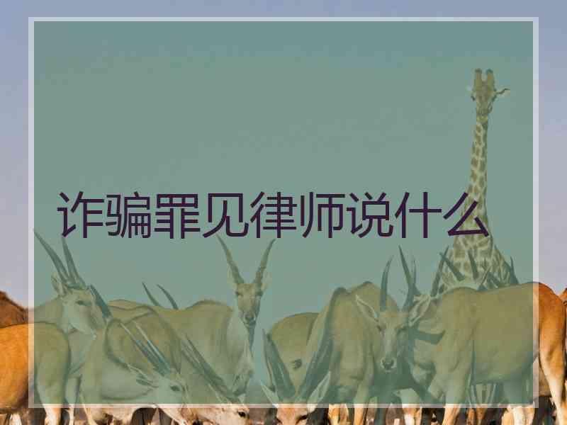 诈骗罪见律师说什么