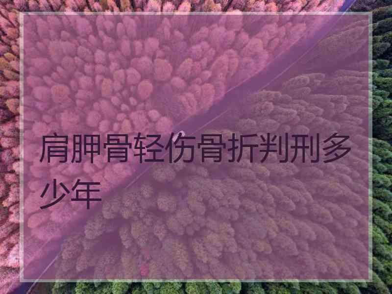 肩胛骨轻伤骨折判刑多少年