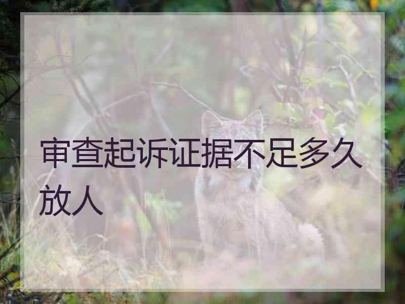 审查起诉证据不足多久放人