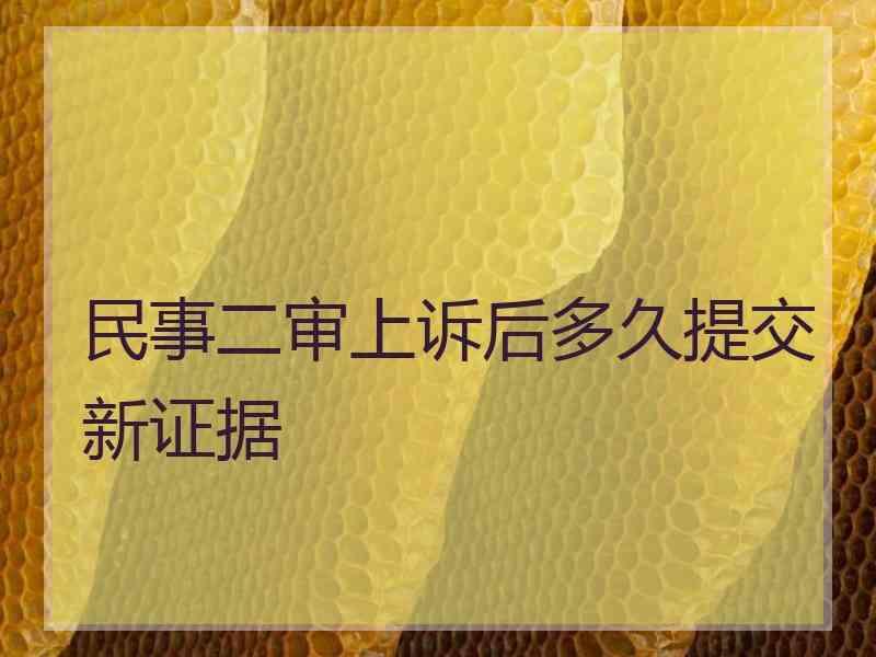 民事二审上诉后多久提交新证据