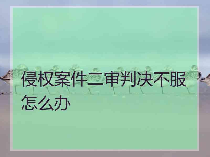 侵权案件二审判决不服怎么办