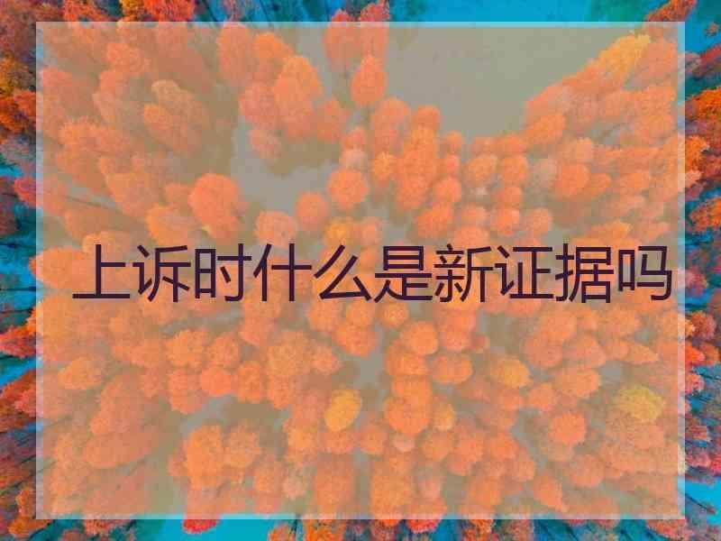 上诉时什么是新证据吗