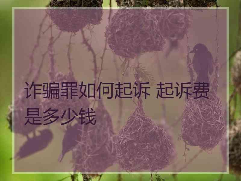 诈骗罪如何起诉 起诉费是多少钱