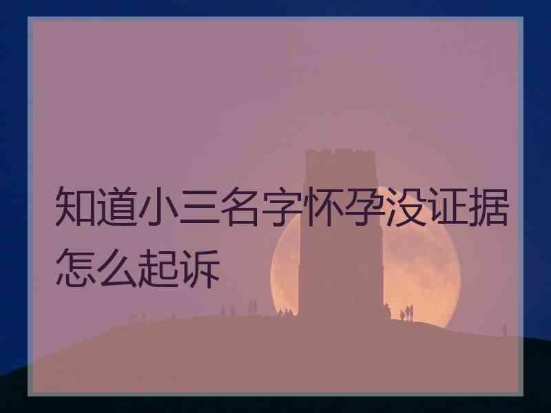 知道小三名字怀孕没证据怎么起诉