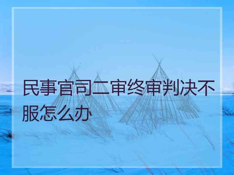 民事官司二审终审判决不服怎么办