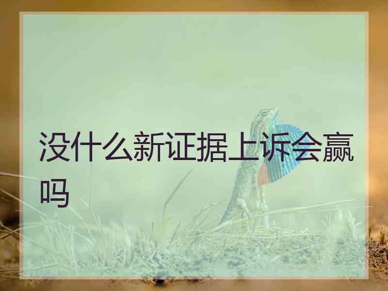 没什么新证据上诉会赢吗