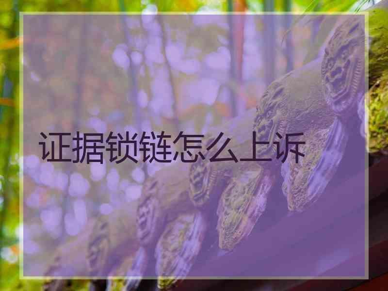 证据锁链怎么上诉