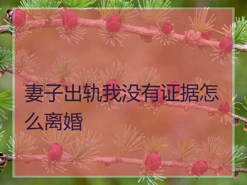 妻子出轨我没有证据怎么离婚