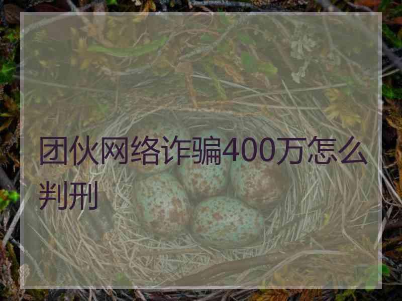 团伙网络诈骗400万怎么判刑