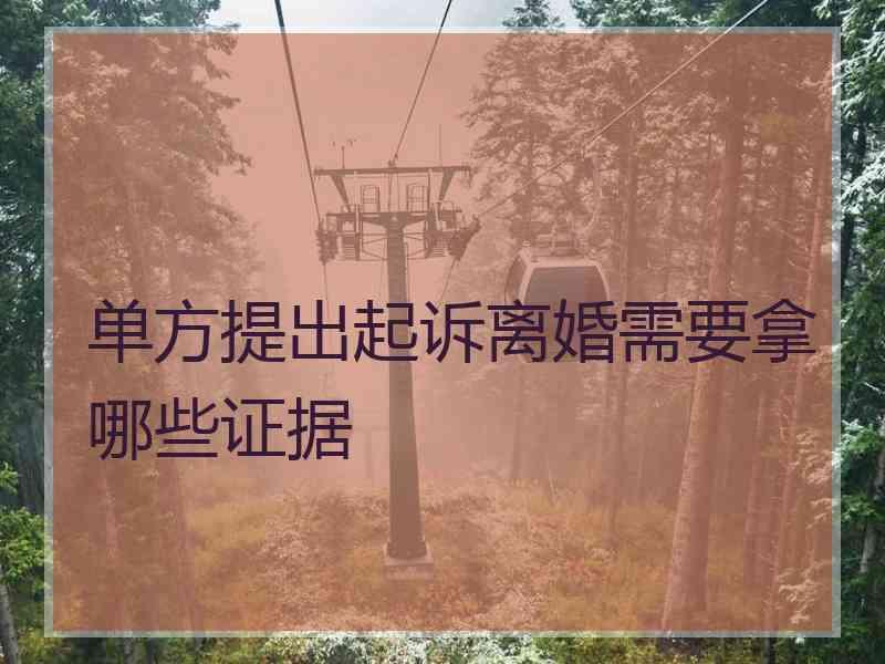 单方提出起诉离婚需要拿哪些证据