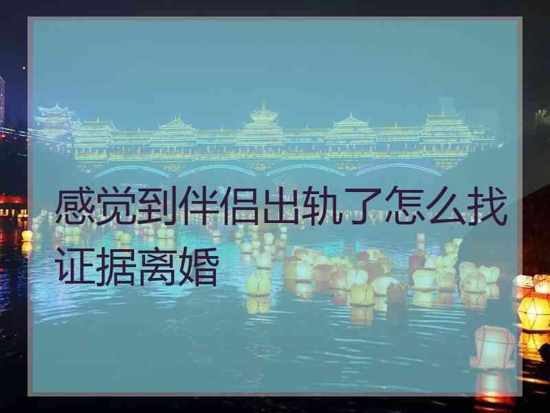 感觉到伴侣出轨了怎么找证据离婚