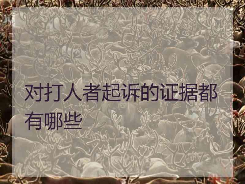对打人者起诉的证据都有哪些