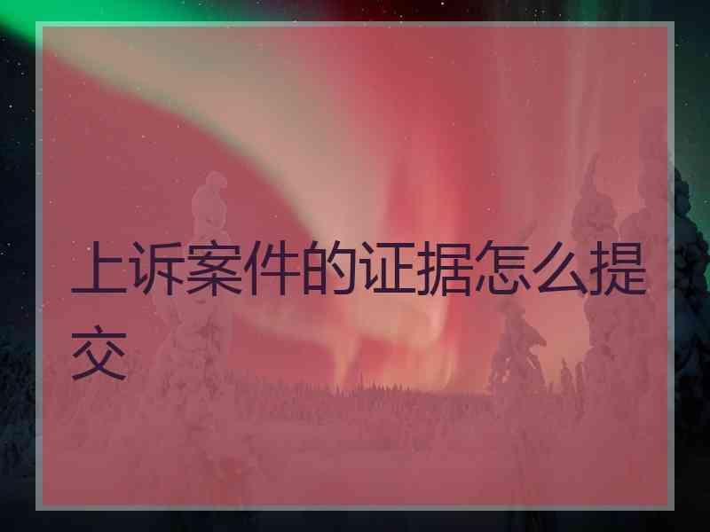 上诉案件的证据怎么提交