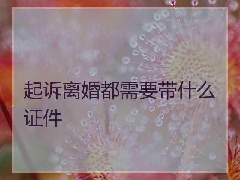 起诉离婚都需要带什么证件