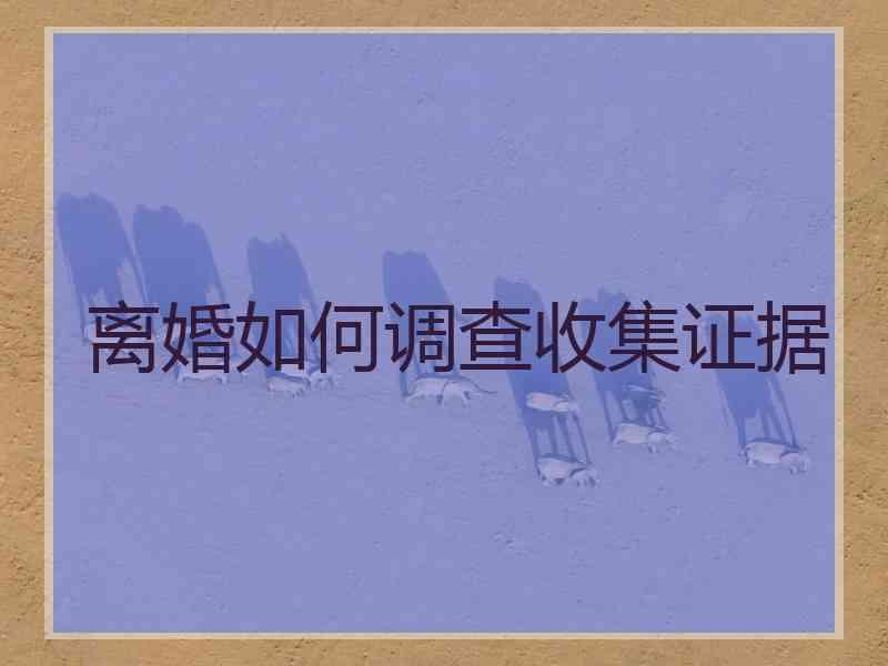离婚如何调查收集证据