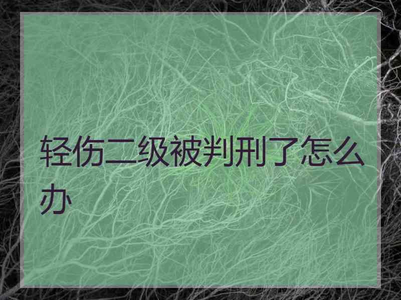 轻伤二级被判刑了怎么办