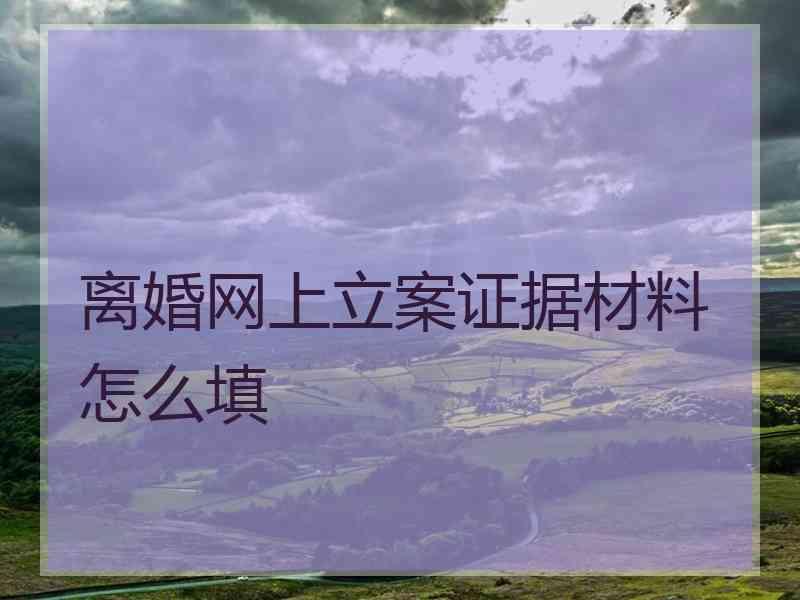 离婚网上立案证据材料怎么填