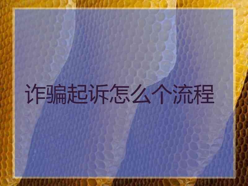 诈骗起诉怎么个流程