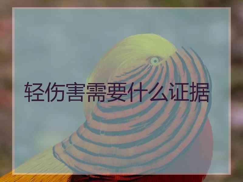 轻伤害需要什么证据