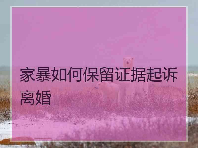 家暴如何保留证据起诉离婚