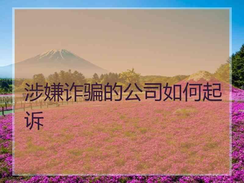 涉嫌诈骗的公司如何起诉