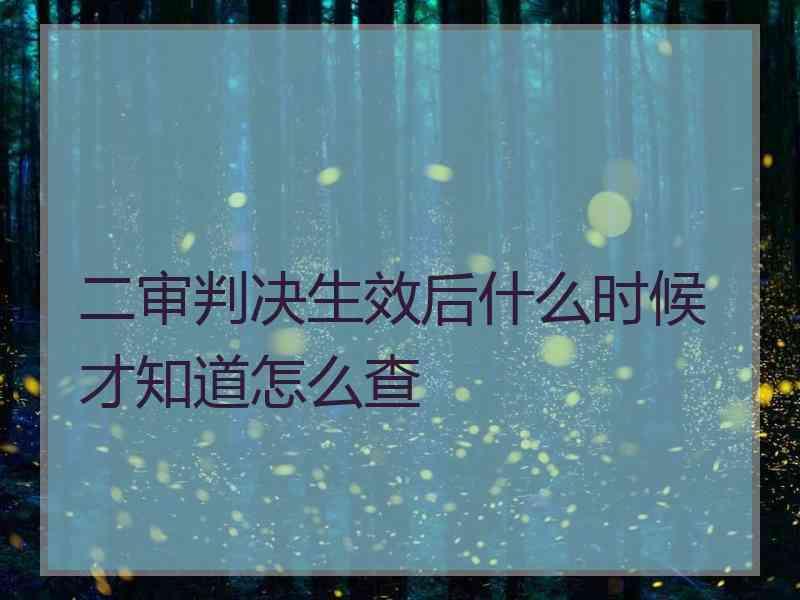 二审判决生效后什么时候才知道怎么查