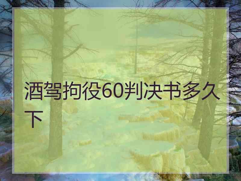 酒驾拘役60判决书多久下