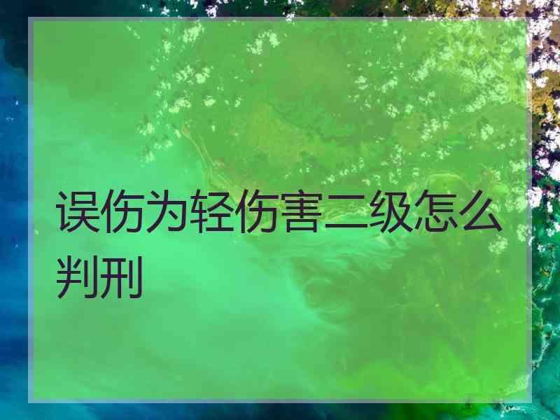 误伤为轻伤害二级怎么判刑