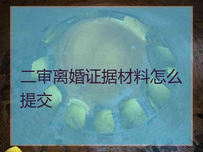 二审离婚证据材料怎么提交