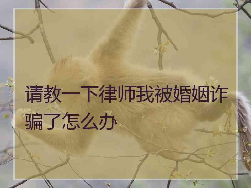 请教一下律师我被婚姻诈骗了怎么办