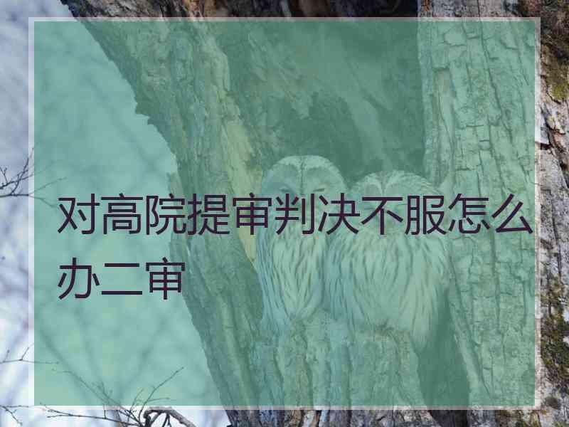 对高院提审判决不服怎么办二审