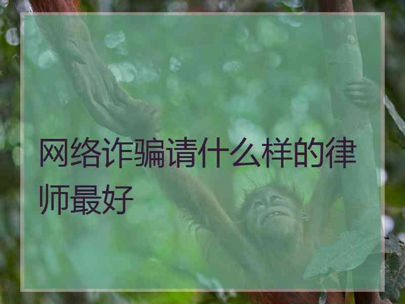 网络诈骗请什么样的律师最好