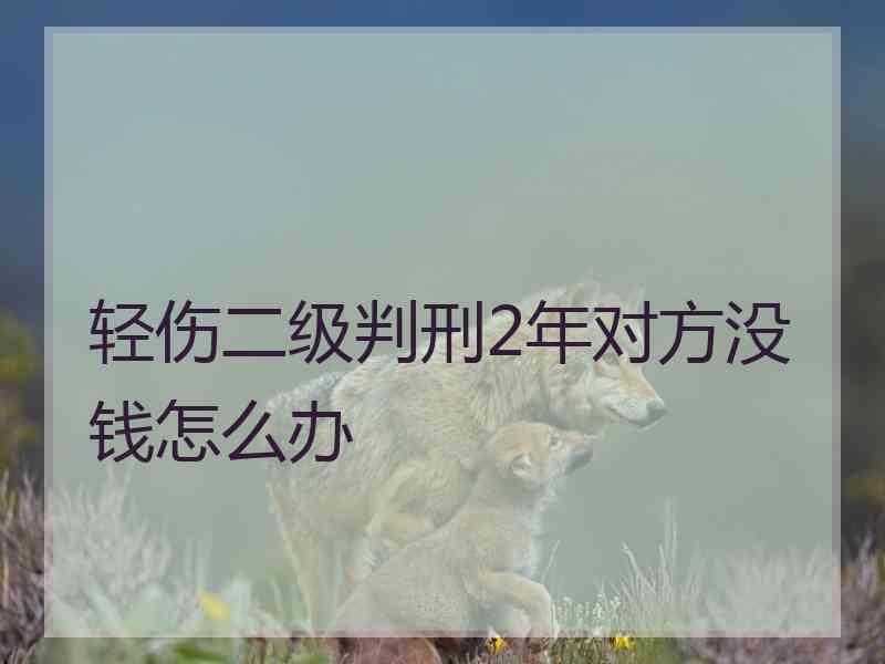 轻伤二级判刑2年对方没钱怎么办