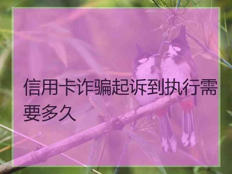 信用卡诈骗起诉到执行需要多久