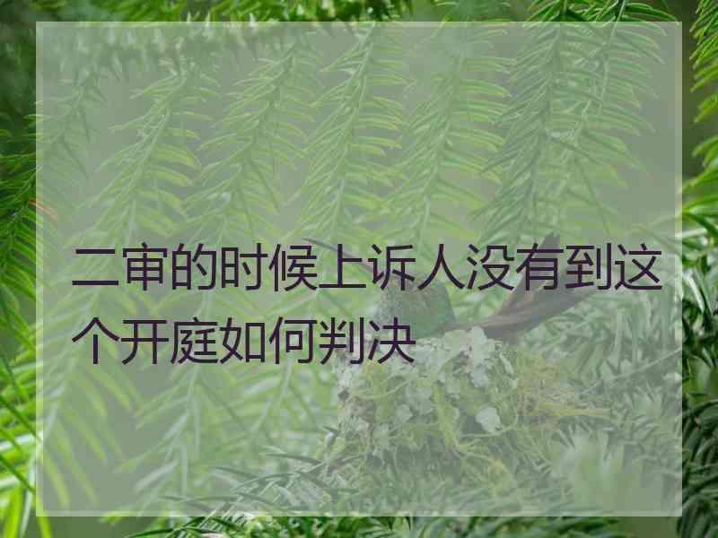 二审的时候上诉人没有到这个开庭如何判决