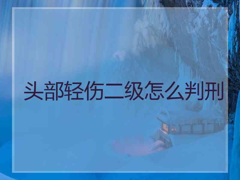 头部轻伤二级怎么判刑