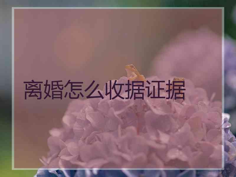 离婚怎么收据证据