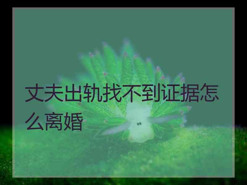 丈夫出轨找不到证据怎么离婚