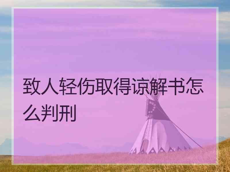 致人轻伤取得谅解书怎么判刑
