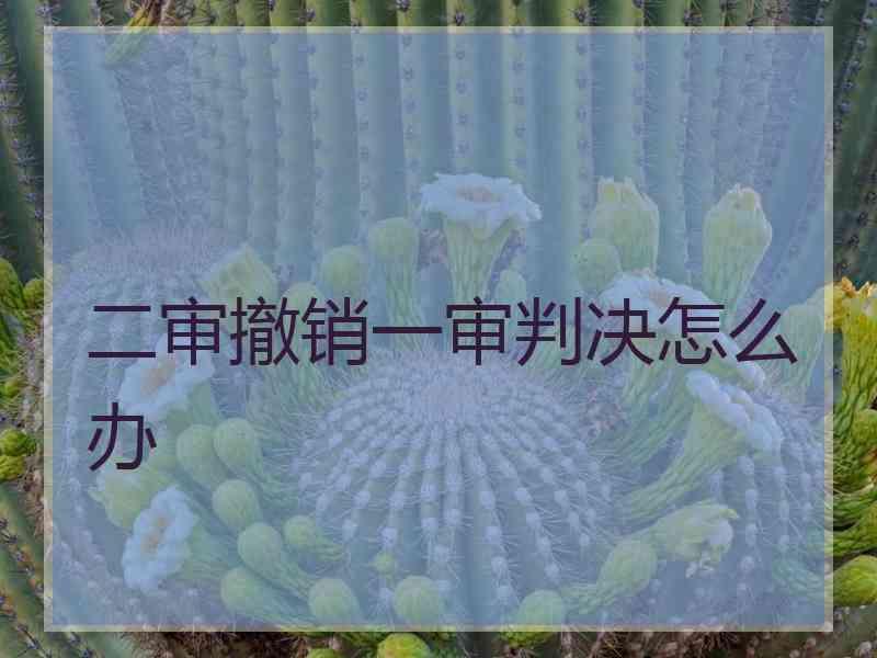 二审撤销一审判决怎么办