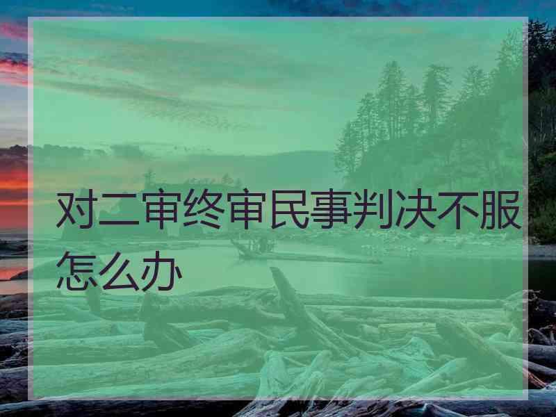 对二审终审民事判决不服怎么办