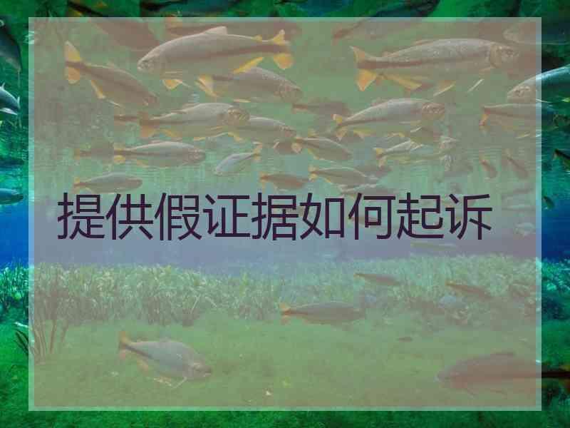 提供假证据如何起诉