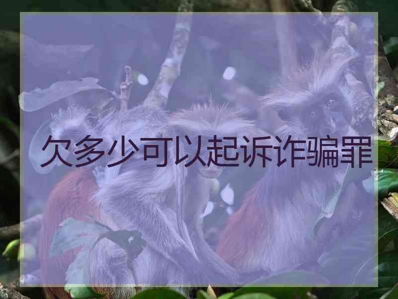 欠多少可以起诉诈骗罪