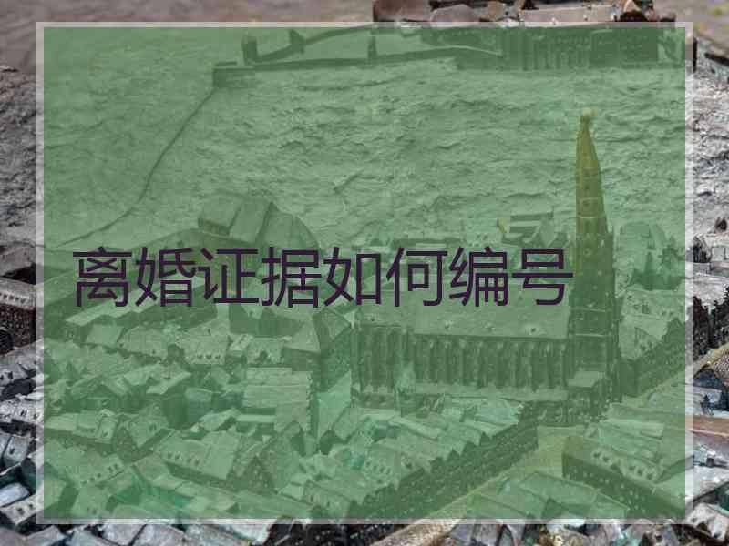 离婚证据如何编号