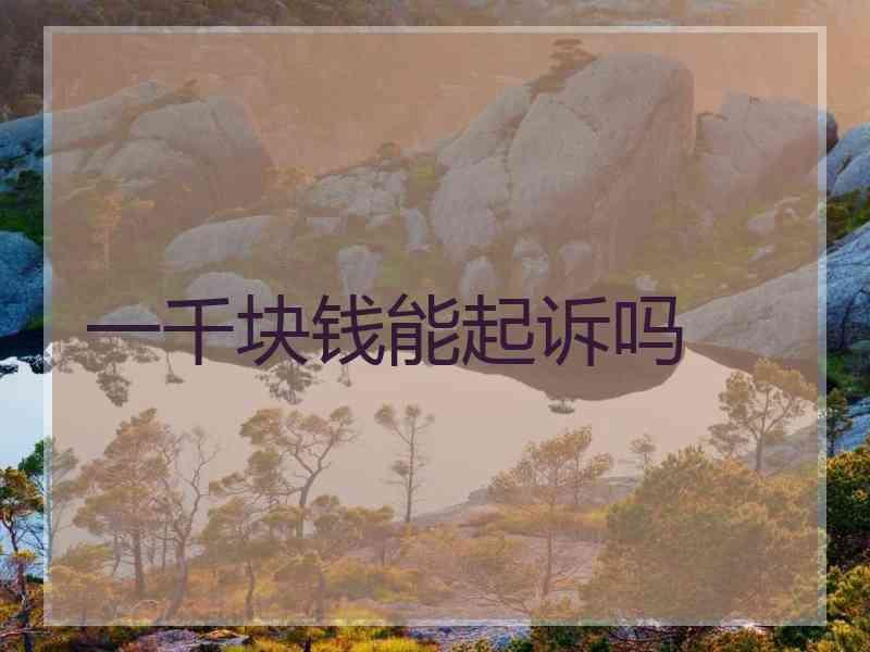 一千块钱能起诉吗