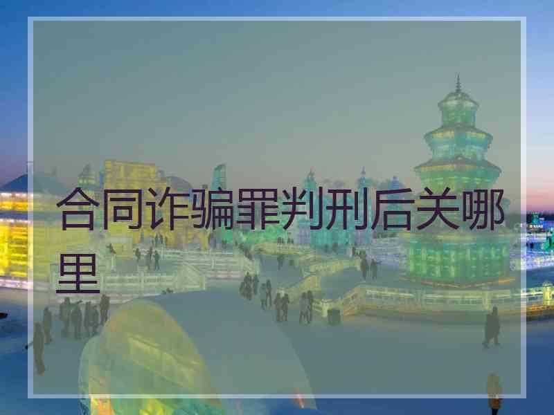 合同诈骗罪判刑后关哪里